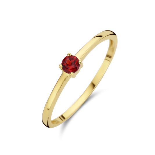 Puck | Geboortesteen Ring Goud